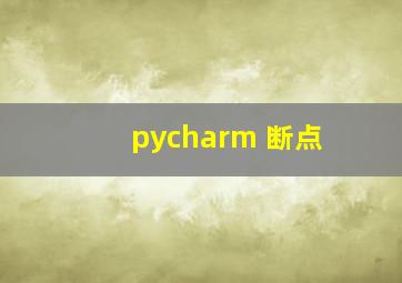 pycharm 断点